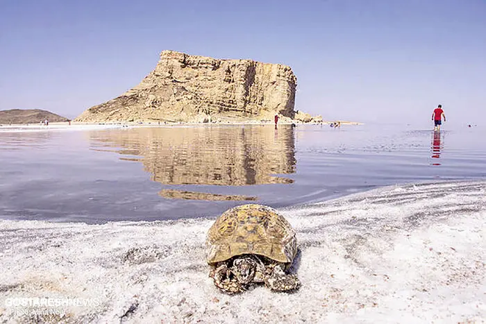 خبر خوش از دریاچه ارومیه |‌ بارش ها تاثیر گذار بود؟