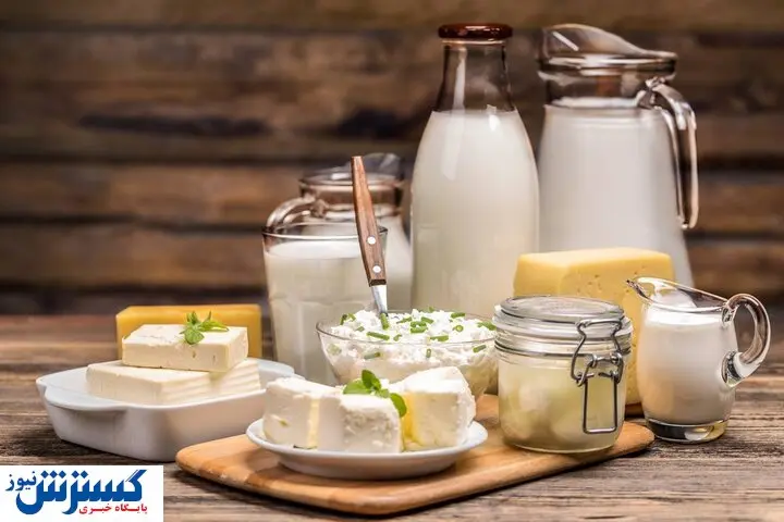 پنیر فعلا ارزان است / خطر جدی بیخ گوش تولیدکنندگان لبنیات