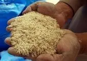 آغاز واردات برنج از پاکستان