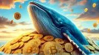 رشد بازار ارز دیجیتال دردسر ساز شد / نهنگ ها خشمگین شدند ؟