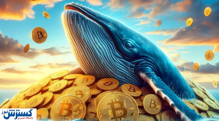 بیتکوین نهنگها به تازهواردها رسید | بازار آماده انفجار قیمت است