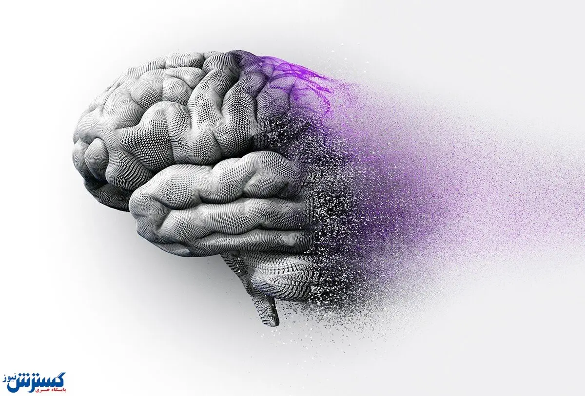 هزینه نگهداری از یک بیمار آلزایمری در خانه | چی بخوریم تا آلزایمر نگیریم؟