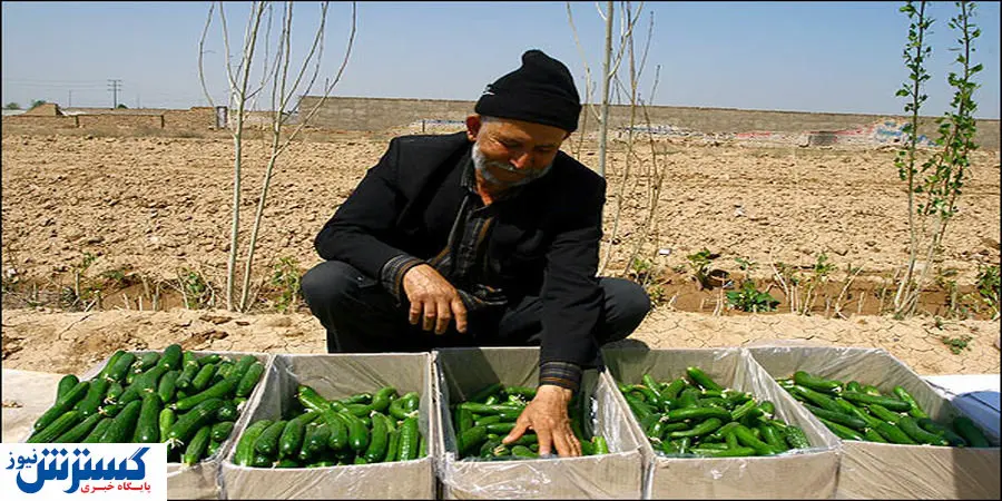 قطعی برق عامل گرانی خیار!
