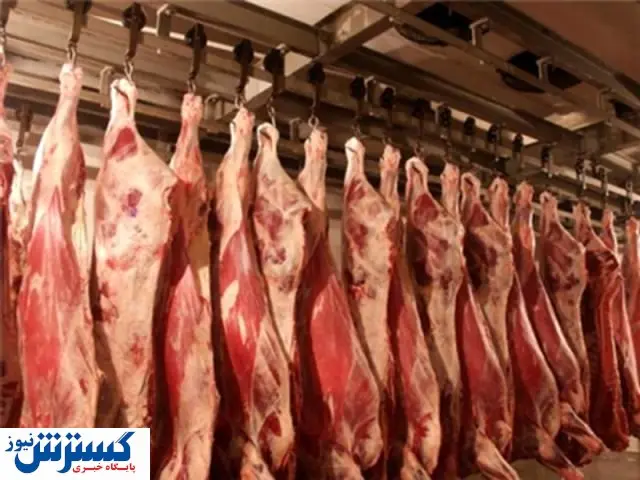 واردات گوشت در دستور کار دولت / کاهش قیمت در راه است؟