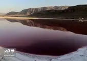 اقدامی ناگوار برای دریاچه آزادی