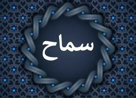 تلاش برای قتل در پیاده روی اربعین | عمار حکیم کیست ؟