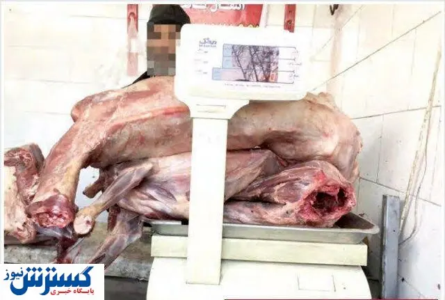 پشت پرده فروش گوشت سگ