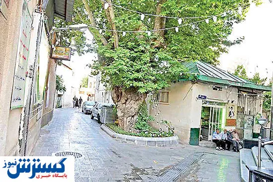 دوئل ساختمانی دولت و شهرداری در زمین جماران