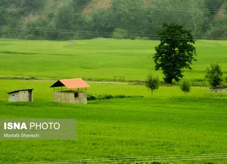 تفریح و ماجراجویی در روستای راز آلود رامسر با اجاره ویلا