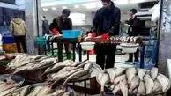 قیمت روز ماهی و میگو در بازار (۹۹/۱۰/۱۵) + جدول