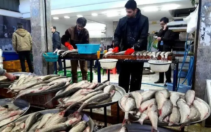 قیمت انواع ماهی در بازار (۱۵ مهر) + جدول