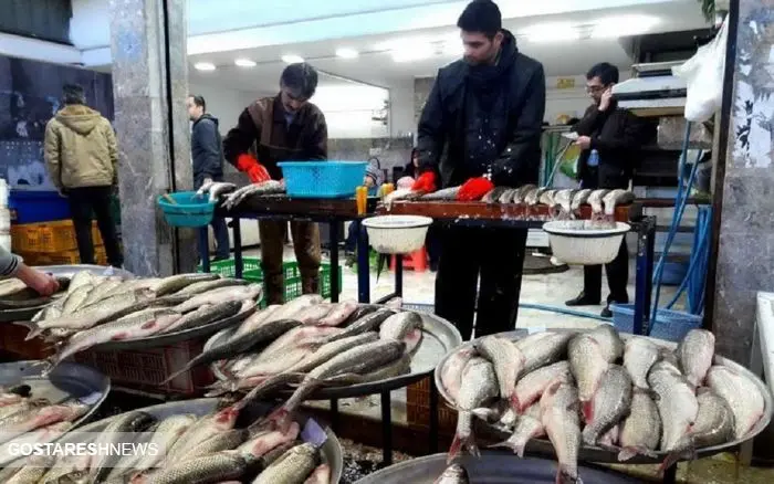 قیمت روز ماهی در بازار (۱۴۰۰/۰۳/۰۵) + جدول