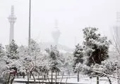 هشدار / برف در تهران شدیدتر می شود