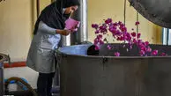 تصاویر/ صادرات جهانی گلاب ایرانی 