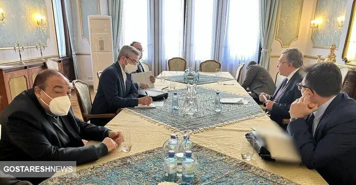  یک مذاکره کننده جدید ایرانی به تیم هسته ای پیوست + عکس