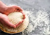 خداحافظی سفره مردم با برنج خارجی / برنج ایرانی رویا شد