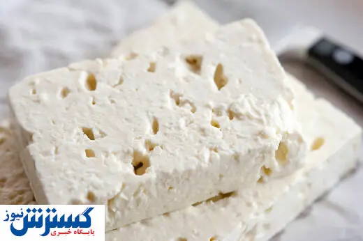 پنیر برای کودکان مفید است یا مضر؟