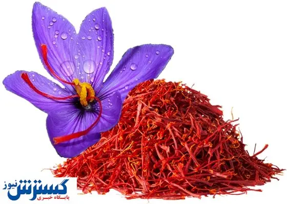 رشد چشمگیر صادرات زعفران