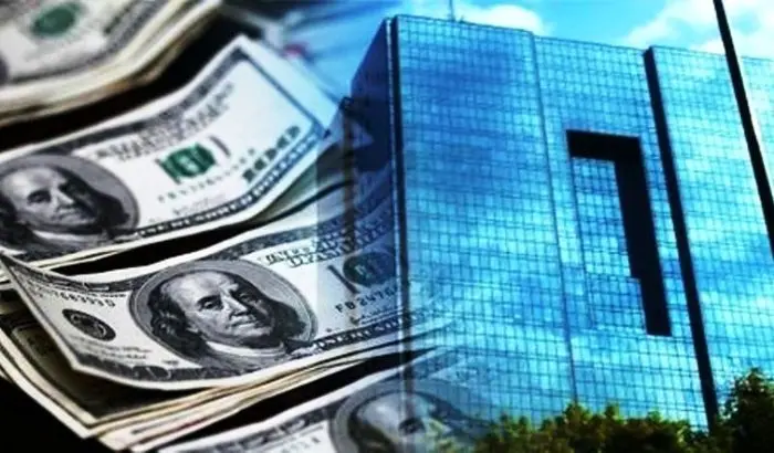 همتی: بانک مرکزی در رفع تعهدات ارزی سختگیری کرد 