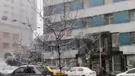 فیلمی از بارش شدید برف در پایتخت