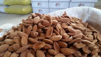 قیمت گران ترین بادام بازار اعلام شد + جدول آبان ماه