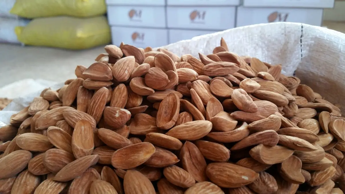 قیمت گران ترین بادام بازار اعلام شد + جدول آبان ماه