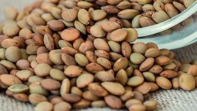 شوک قیمتی حبوبات ؛ سفره ها خالی شد