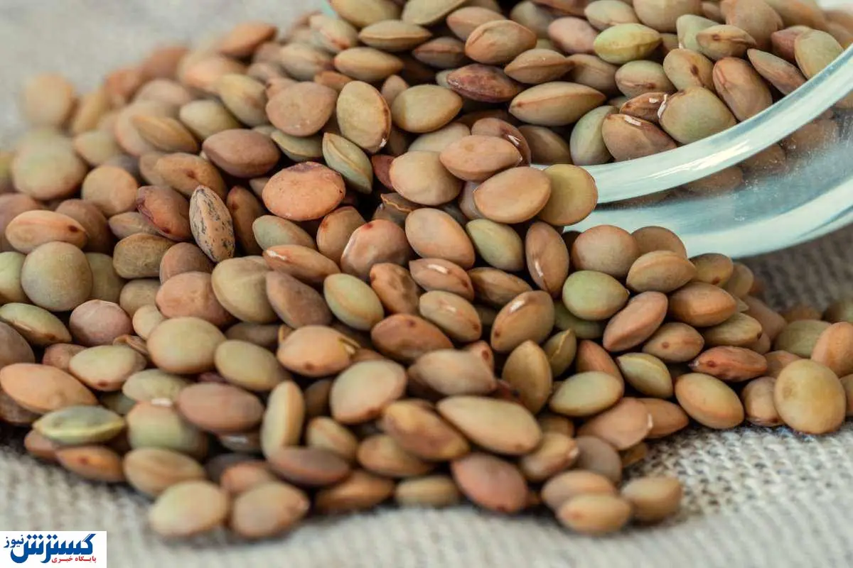 شوک قیمتی حبوبات ؛ سفره ها خالی شد