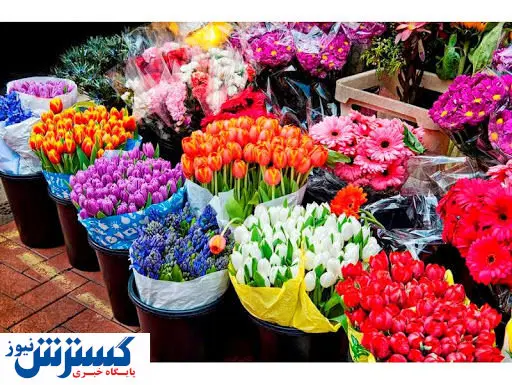 سهم گل و گیاهان زینتی ایران در بازارهای جهانی