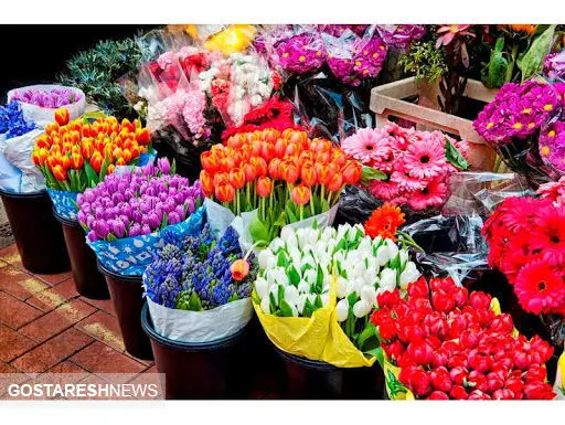 سهم گل و گیاهان زینتی ایران در بازارهای جهانی