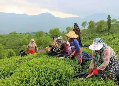 خبر خوش درباره واریز معوقات بازنشستگان | وام ۵۰ میلیونی به کجا رسید؟