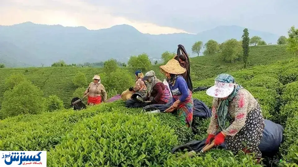 دولت به وعده‌اش عمل کرد | مطالبات پرداخت شد