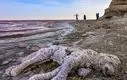 متأسفیم ؛ چشم ایران بر اثر بی مدیریتی از دست رفت