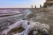 متأسفیم ؛ چشم ایران بر اثر بی مدیریتی از دست رفت