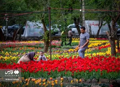 گردشگری طبیعی ظرفیت بالای این استان/تاریخ و طبیعت این استان مجذوب برای  گردشگران 