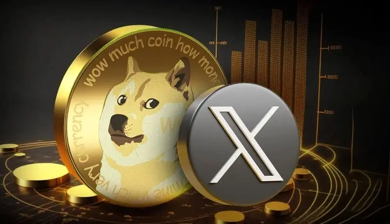 دوجکوین، شیبا و پیپه | میمکوینها چگونه جدی شدند؟