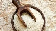 بحران حل نشده درباره واردات برنج / دولت چه تصمیمی می گیرد؟