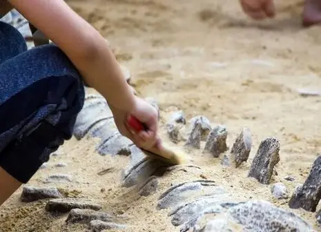 درس بزرگ ترکیه به ایران؛ موفقیت بدون رانت و نفت شدنی است