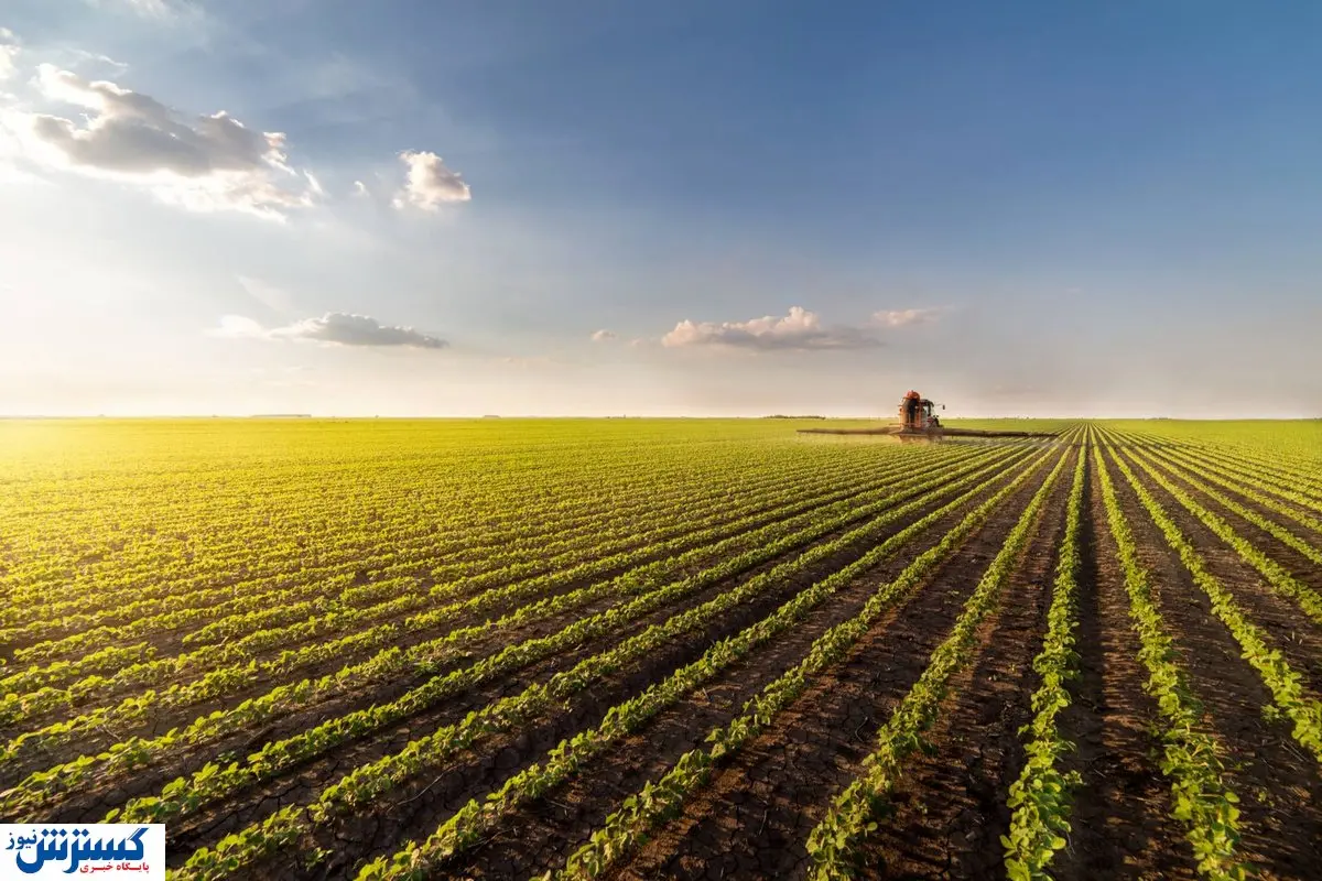 آژیر قرمز برای کشاورزی ایران به صدا درآمد