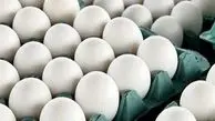 صادرات تخم‌مرغ آزاد می شود