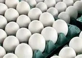 تخم مرغ دوباره گران خواهد شد؟