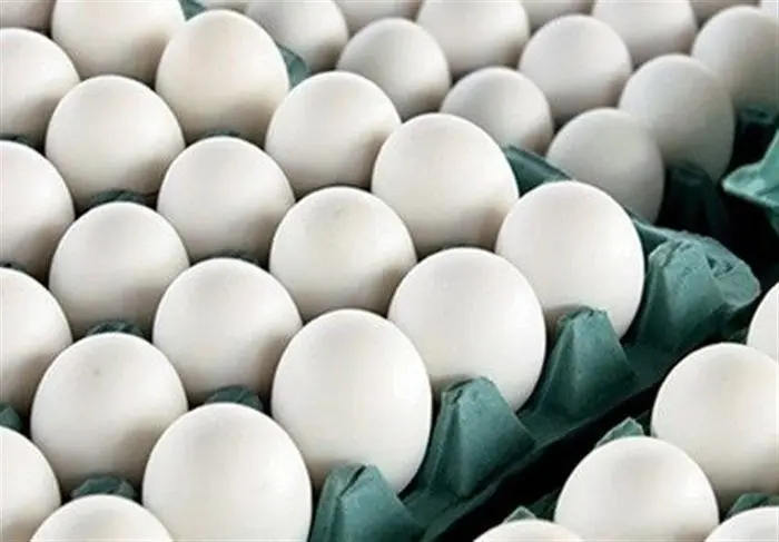 قیمت هر شانه تخم مرغ سر به فلک کشید!