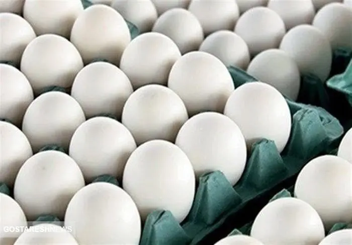  سقف مشخص صادرات تخم مرغ اعلام شد