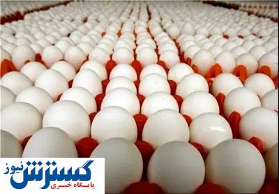 قیمت هر کیلوگرم تخم مرغ فله در بازار + جزییات