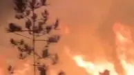  اولین ویدیو از آتش سوزی بزرگ در منطقه ۴ تهران+ فیلم