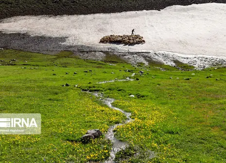 تصاویر/ حضور گردشگران خارجی در مراسم محرم یزد