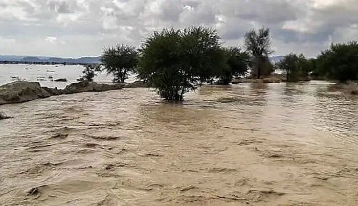 ۱۵ کشته و مفقودی در سیلاب فیروزکوه + جزییات