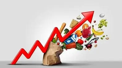 شروع زمستان اقتصادی برای مرد ایران | مرغ آسایش پر کشید !