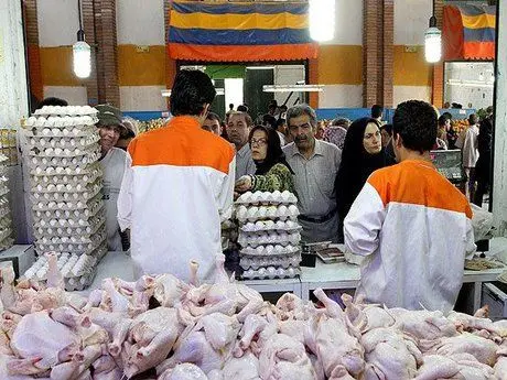 تصمیمات جدید برای بازار مرغ و تخم‌مرغ