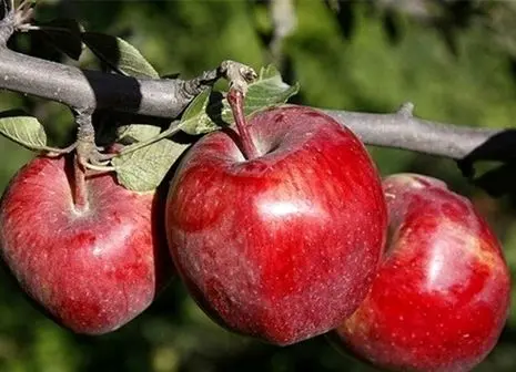  ایران پمپ گاز را به روی عراق بست